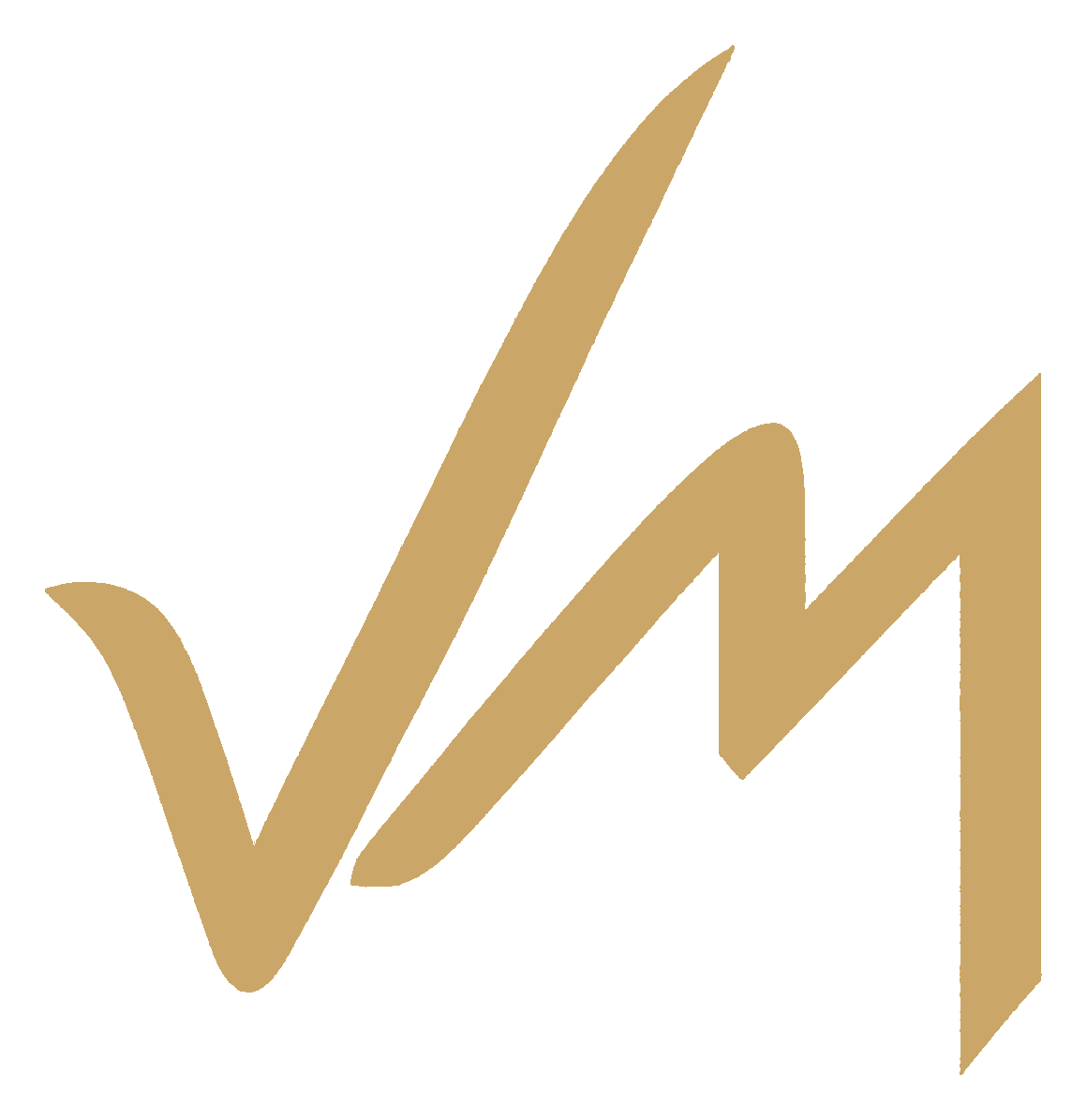 Jesse Myerson signature logo